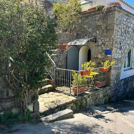 Villa Valentina Suite Massa Lubrense Eksteriør billede